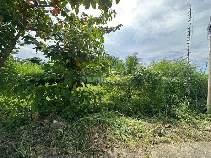 Siêu Phẩm 28x35 Lô 2 Lý Thái Tổ, Tân Tiến Gần Biển Giá Siêu Tốt