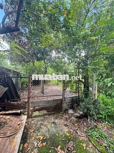 CHO THUÊ NHÀ PHƯỜNG TÂN PHONG GIÁ 10 TR