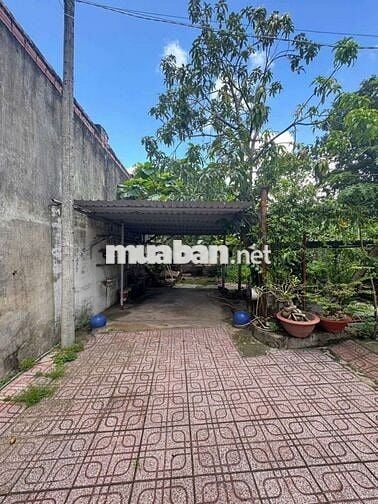 CHO THUÊ NHÀ PHƯỜNG TÂN PHONG GIÁ 10 TR