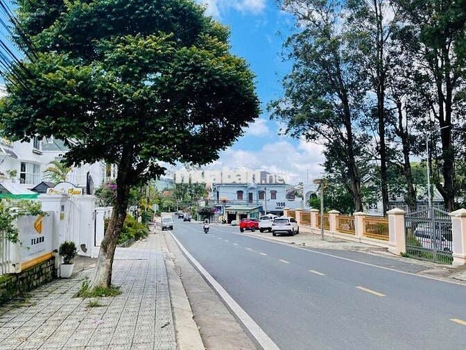 Đất nền tại Trần Bình Trọng, Phường 5, Đà Lạt. - Diện tích: 1100 m².