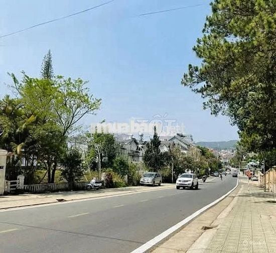 Đất nền tại Trần Bình Trọng, Phường 5, Đà Lạt. - Diện tích: 1100 m².