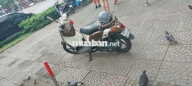Mio may em cần bán giay to day du
