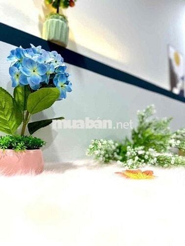 Trống Lại Sẵn 2 Phòng Ngủ Tầng Thượng , Riêng Biệt Lầu 4 Thang Bộ❤️