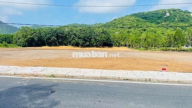 BÁN ĐẤT MẶT TIỀN ĐƯỜNG PHƯỚC HƯNG - PHƯỚC HẢI ĐI THẲNG RA BIỂN LAN RỪN