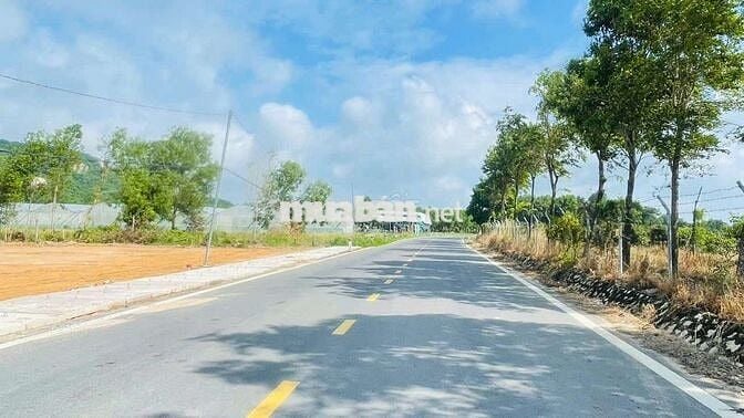 BÁN ĐẤT MẶT TIỀN ĐƯỜNG PHƯỚC HƯNG - PHƯỚC HẢI ĐI THẲNG RA BIỂN LAN RỪN