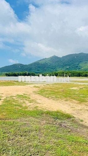 BÁN ĐẤT MẶT TIỀN ĐƯỜNG PHƯỚC HƯNG - PHƯỚC HẢI ĐI THẲNG RA BIỂN LAN RỪN
