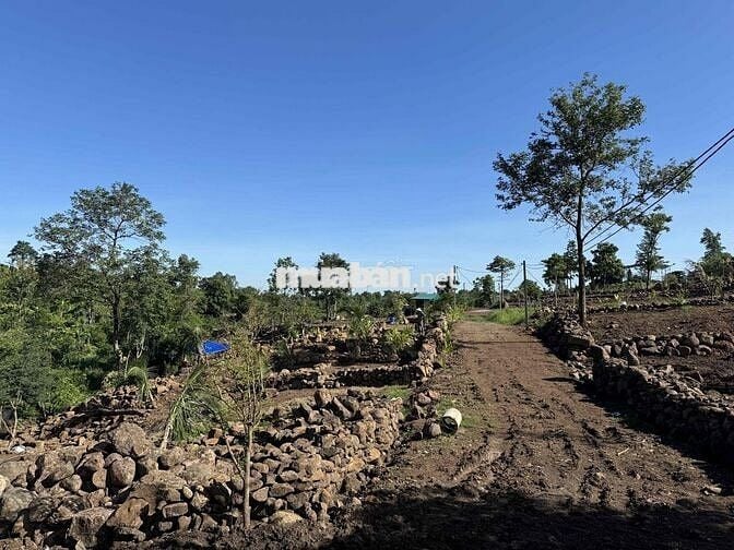 500m2 đất nông nghiệp Phường BMT