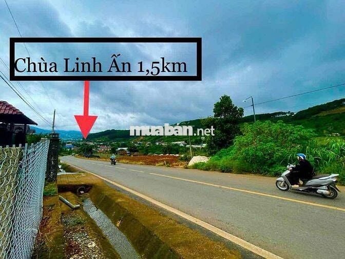 Chính chủ cần bán 10mx55m  mặt tiền đường nhựa