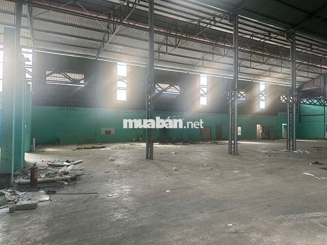 Cho thuê kho  Bùi Cẩm Hổ, phường Tân Thới Hòa, Tân Phú_DT: 1.100m2