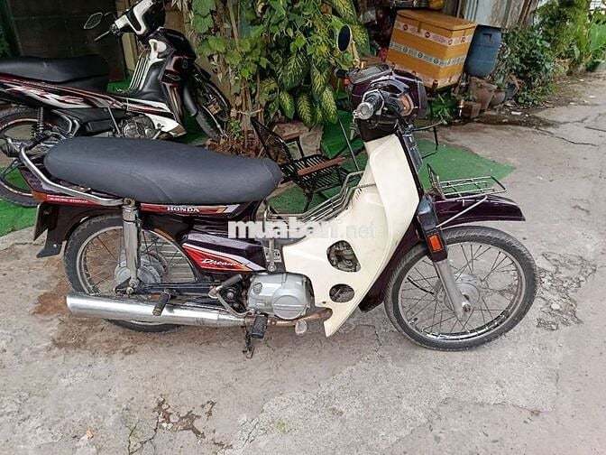 DREAM THÁI BS NINH THUẬN