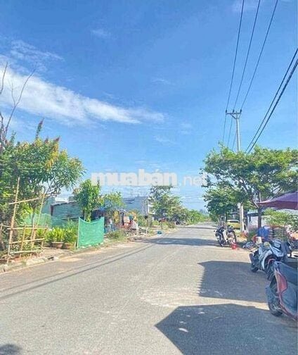 🔥 CHÍNH CHỦ BÁN GẤP ĐẤT PHẠM ĐÌNH BÂN – 99,5M², GIÁ CỰC TỐT