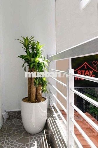 NHÀ SÁT MẶT TIỀN 30m2 2 phòng 2wc full nt Võ Duy Ninh Bình Thạnh