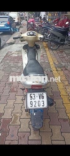 Suzuki FX cổ kiểng cà phê giấy TP
