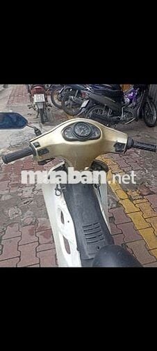 Suzuki FX cổ kiểng cà phê giấy TP
