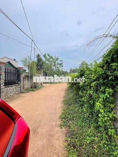 🏡 CHO THUÊ NHÀ 2 MẶT TIỀN NGUYÊN CĂN GIÁ RẺ – XÃ BÀU CẠN, HUYỆN LONG T