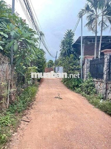 🏡 CHO THUÊ NHÀ 2 MẶT TIỀN NGUYÊN CĂN GIÁ RẺ – XÃ BÀU CẠN, HUYỆN LONG T