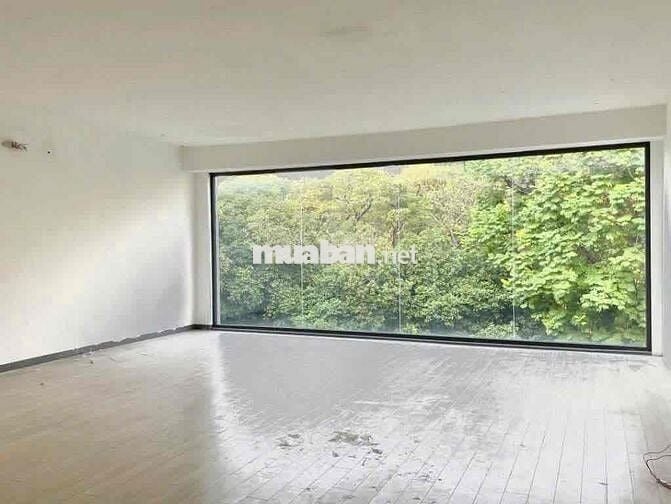Nhà trệt 2 lầu Hai Bà Trưng Q1- 7,5x24m