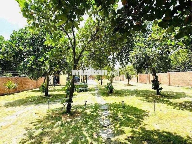 ĐẤT VƯỜN 1100M2 650 TRIỆU MẶT TIỀN ĐƯỜNG 16M SẴN SỔ HỒNG RIÊNG