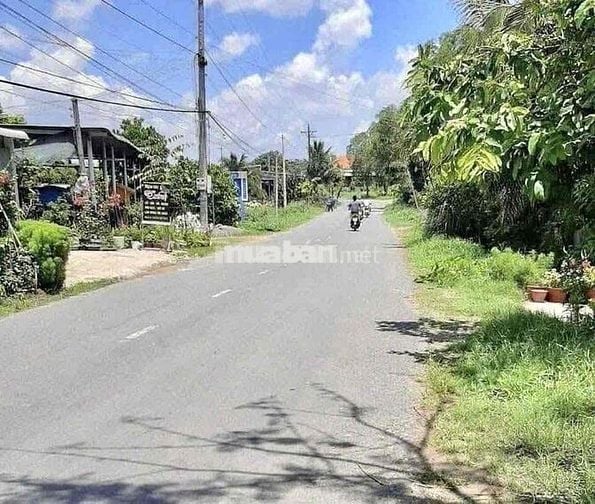ĐẤT VƯỜN 1100M2 650 TRIỆU MẶT TIỀN ĐƯỜNG 16M SẴN SỔ HỒNG RIÊNG
