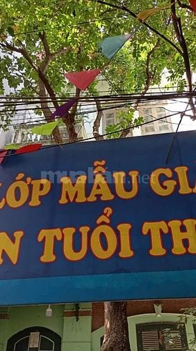 🌳 CHÍNH CHỦ BÁN CÂY LỘC VỪNG LÂU NĂM – ĐỊNH CÔNG, HÀ NỘI 🌳