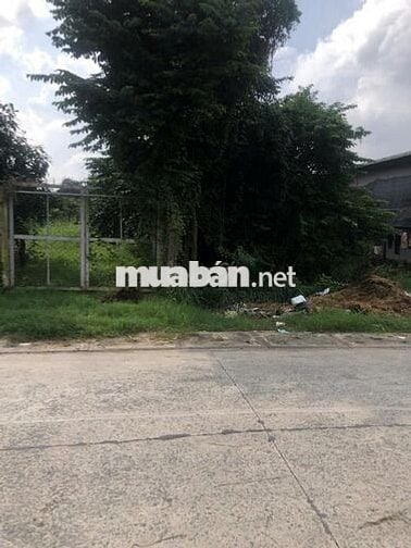 CÓ 1 KHÔNG 2! SHR 158m2 Nguyễn Thị Lắng – Tân Phú Trung giá 425tr