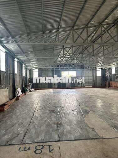 CHO THUÊ KHO 430M2 ĐƯỜNG LÊ TRỌNG TẤN HẺM XE TẢI KHO CAO RÁO SẠCH SẼ