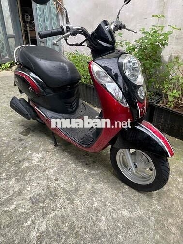 elite 50cc xe dk cuối 2022 bstp 9 chủ