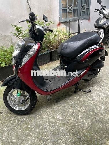 elite 50cc xe dk cuối 2022 bstp 9 chủ