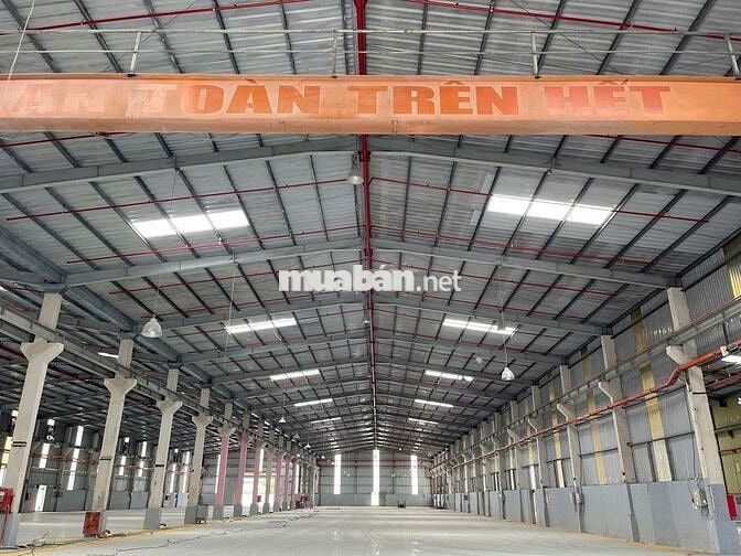 CHO THUÊ XƯỞNG 11779m2 TẠI KCN THỦ DẦU MỘT