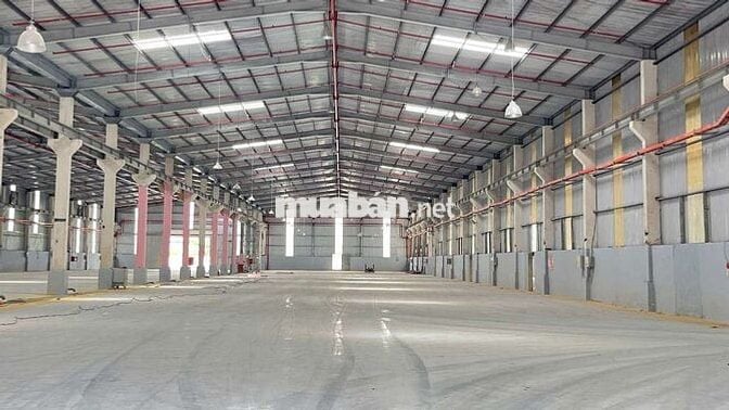 CHO THUÊ XƯỞNG 11779m2 TẠI KCN THỦ DẦU MỘT