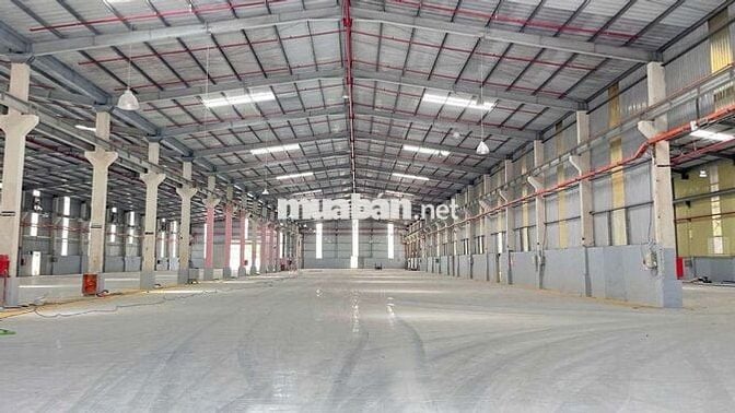 CHO THUÊ XƯỞNG 11779m2 TẠI KCN THỦ DẦU MỘT