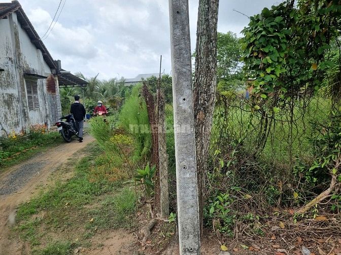 271m2 có thổ cư. Gần KCN Hiệp Thạnh. 6m ngang, 450tr 