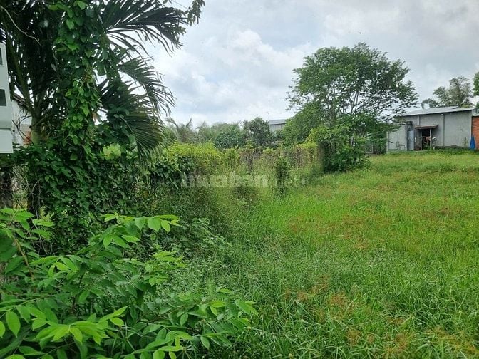 271m2 có thổ cư. Gần KCN Hiệp Thạnh. 6m ngang, 450tr 