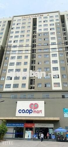 HIẾM- 2TỈ1- 62M+NỞ HẬU- HƯƠNG LỘ 2-Chủ quyết định-Giảm 50 triệu