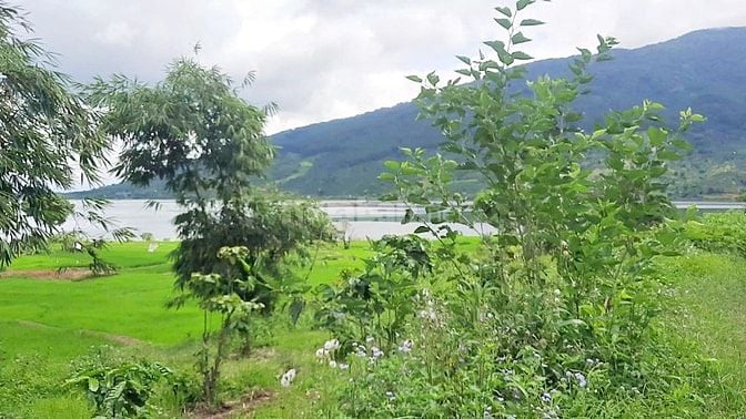 Đất view đẹp tại Di Linh, hồ Kala, lô đất mặt tiền rộng, nở hậu.