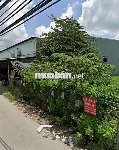 Về quê ở bán nhanh miếng đất 82m2 đường cây Cám ,Vĩnh Lộc B,Bình Chánh