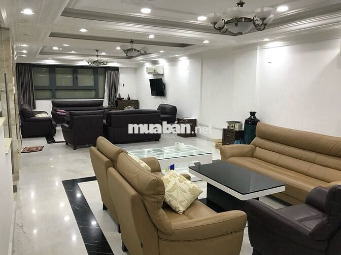 BIỆT THỰ MINI ĐẲNG CẤP – PHỔ QUANG, TÂN BÌNH