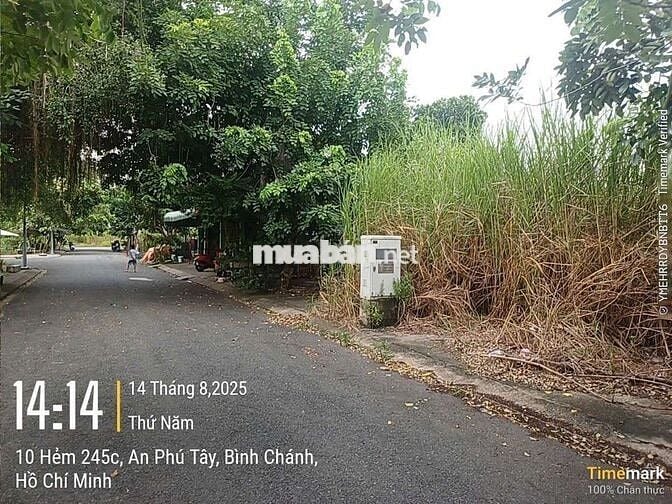 Bán nền biệt thự,kdc 47 mẫu, xã An Phú Tây. Giá bắt ngờ