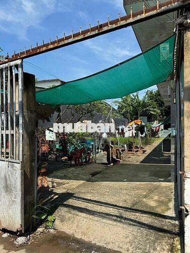 BÁN GẤP ĐẤT NHÀ TRỌ CHÍNH CHỦ CÓ SẴN 10 PHÒNG ĐANG CHO THUÊ
