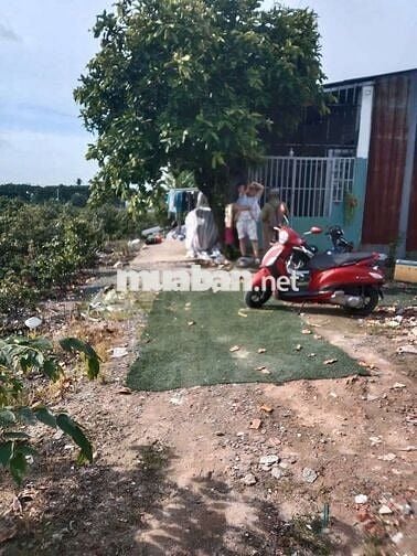 Đất hỗn hợp, SHR,dt: 5mx13m=65m2, tX 25, hẻm 3m. Khu dân cư đông
