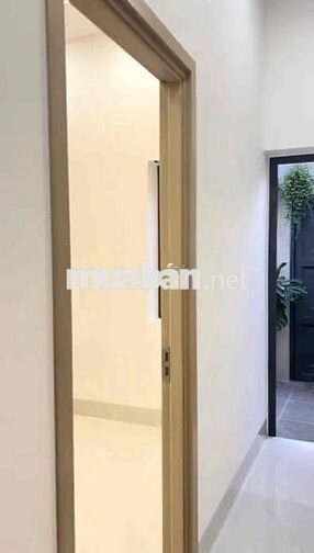 Bán Gấp Nhà Gần Trần Đại Nghĩa Bình Chánh Sổ Hồng Riêng