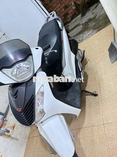 Biển 59F1 99944  honda italy lên áo sh ý 2009
