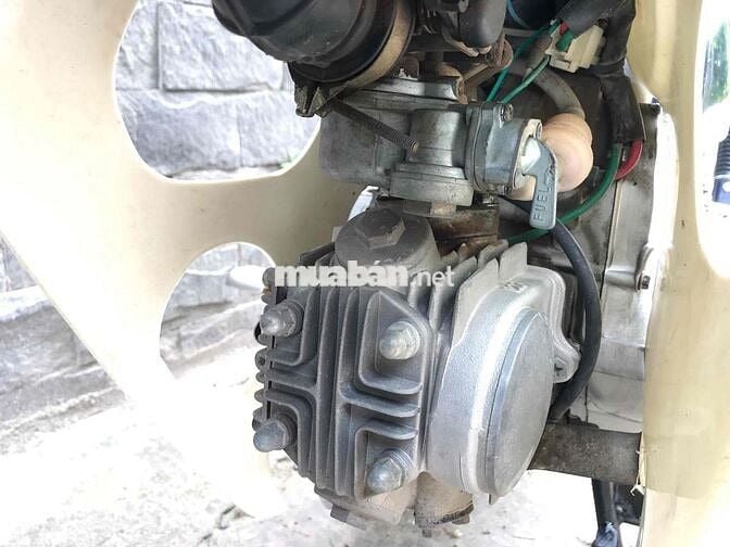 Cub 50cc 2019 đèn vuông.