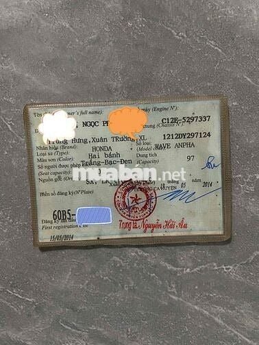 bán Anpha 100cc..chưa rớt đầu