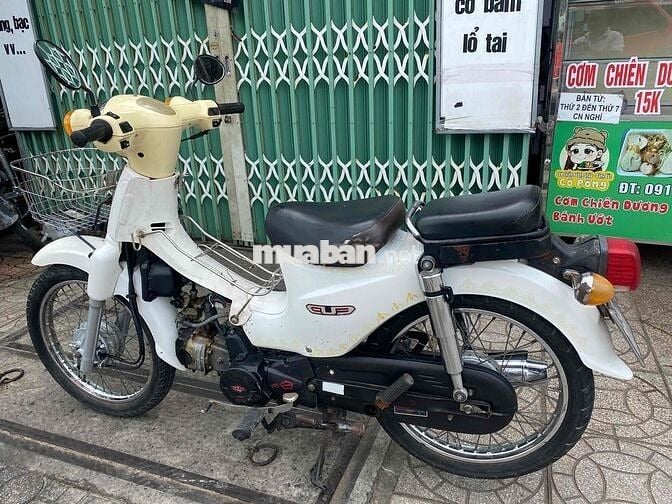 cub 50 2018