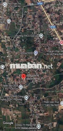 SỞ HỮU LIỀN TAY 157M2 THỔ CƯ GIÁ 300TR. NẰM NGAY TRUNG TÂM TRẢNG BÀNG.