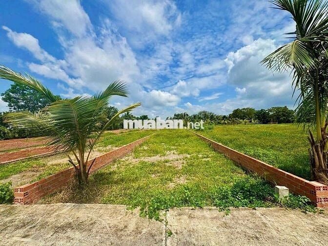 Còn 1 lô đất Thổ Vườn ngay Chợ Trảng Bàng Tây Ninh Giá 640tr/220m2 SHR