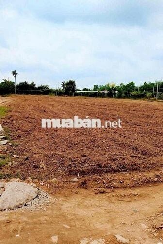 Hot! Đất nền Tân Triều view sông – Giá siêu tốt, sổ riêng thổ cư 100%