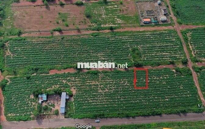 120m2 THỔ CƯ TẠI XÃ NHA BÍCH – CHƠN THÀNH – BÌNH PHƯỚC