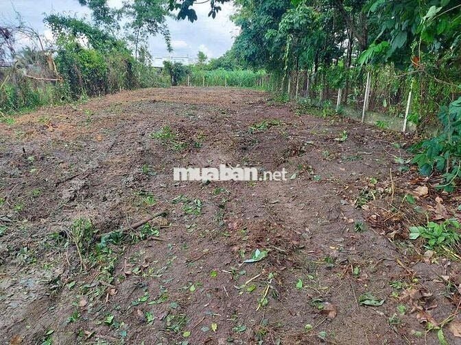 Đất thỗ cư phường An tịnh kcn trang bang Tây ninh